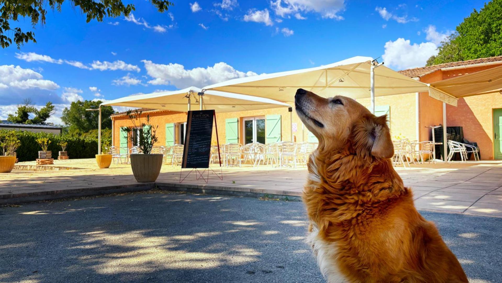 Camping Tikayan L'Oxygene Valensole Dış mekan fotoğraf